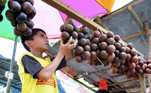 PK07_22112012_BUAH-BUAHAN