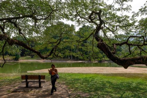TAMAN TASIK TAIPING