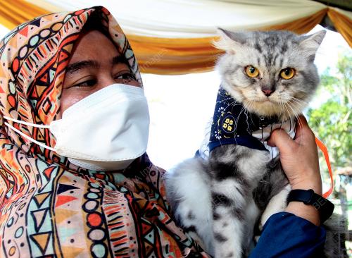 FESTIVAL KUCHING JALANAN