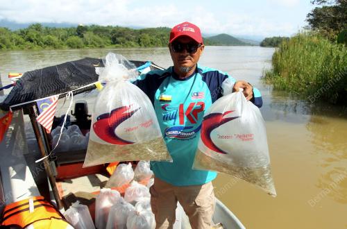 BENIH_IKAN