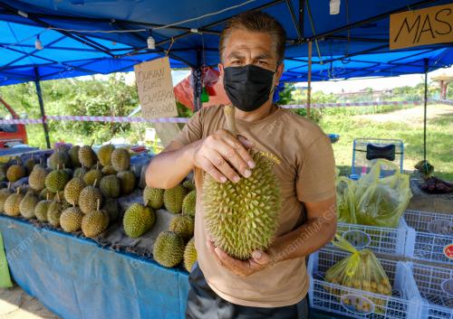 MUSIM RAJA BUAH TERKESAN EKORAN ARAHAN PKP