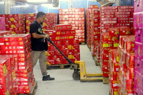 TINJAUAN SEMPENA TAHUN BARU CINA AKAN DATANG
