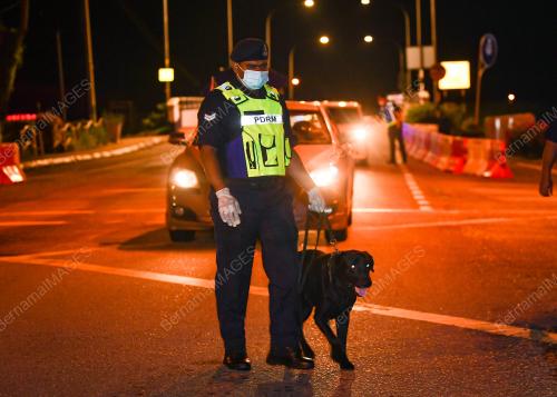 PENGLIBATAN UNIT K9 DI SEKATAN JALAN RAYA