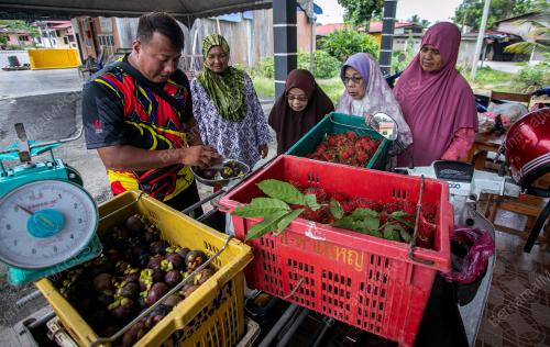 MUHAMMAD IRWANI MOHD AMIRSIRIFUDDIN