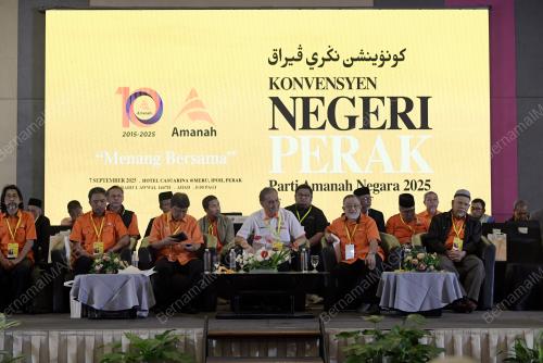 DATUK SERI DR DZULKEFLY AHMAD