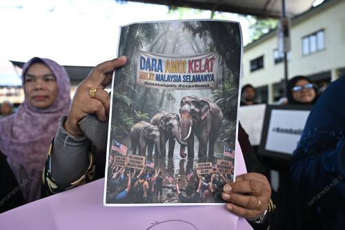 HIMPUNAN SELAMATKAN DAK
