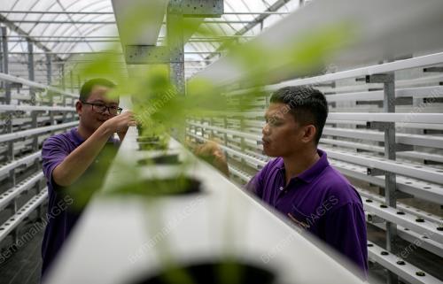 PERSATUAN UNTUK INSAN BERMASALAH INTELEK PERAK