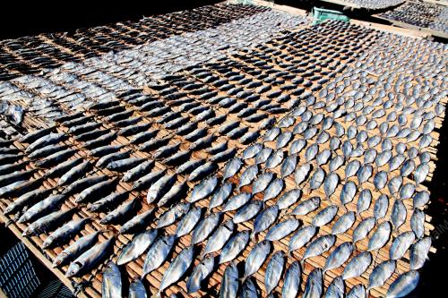 IKAN MASIN