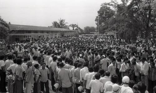 MUSA HITAM