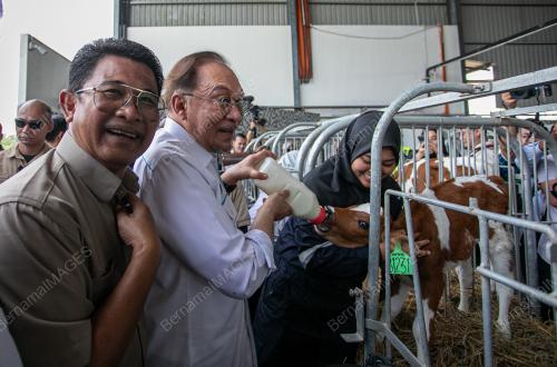 DATUK SERI ANWAR IBRAHIM