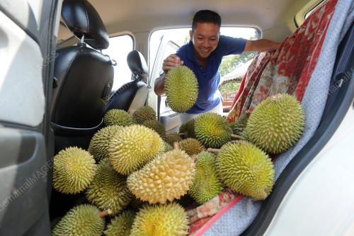 PK08_26062015_DURIAN