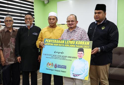 DATUK SERI SHAMSUL ISKANDAR MD AKIN