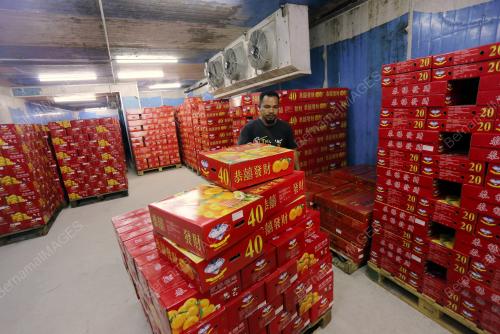 TINJAUAN SEMPENA TAHUN BARU CINA AKAN DATANG
