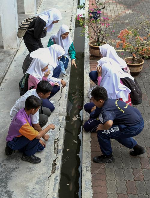 PK09_02102019_IKAN_BN201910012892