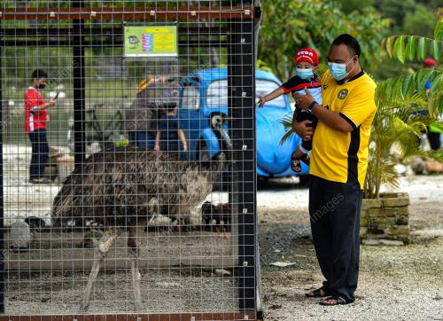 TINJAUAN OPERASI MINI ZOO