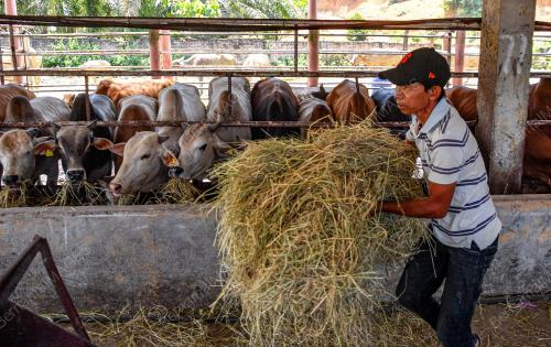 TINJAUAN PERSIAPAN RAYA AIDILADHA