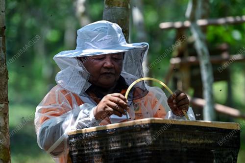 PANDAK UDA