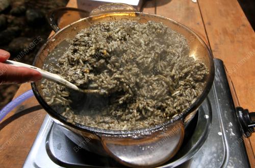 NASI LEMUNI