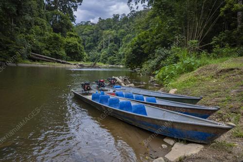 LIPUTAN SANTUARI KELAH AKEKCHEP