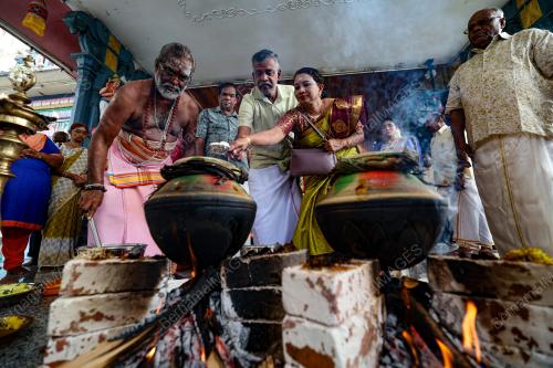 PESTA PONGGAL