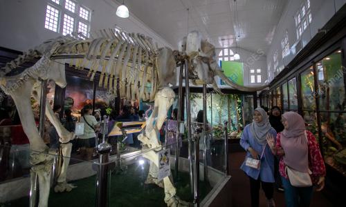MUZIUM PERAK