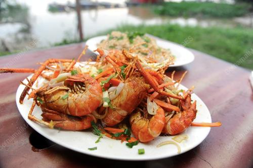 PK09_20052014_UDANG