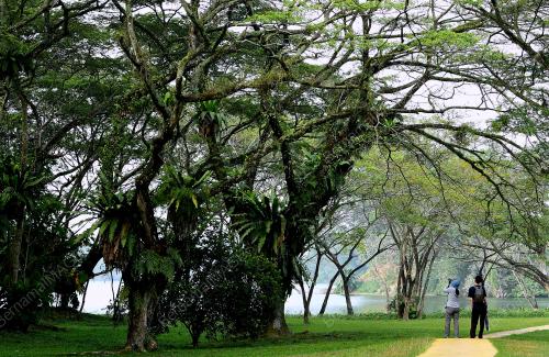 PK09_25072018_TAMAN_ALAM