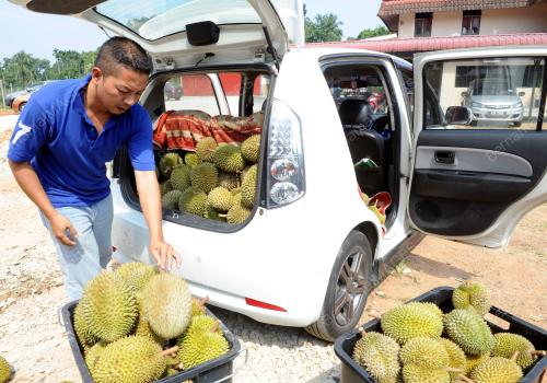 PK09_26062015_DURIAN