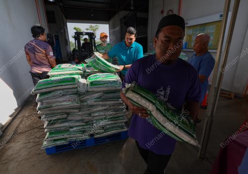 JUALAN BERAS PUTIH TEMPATAN