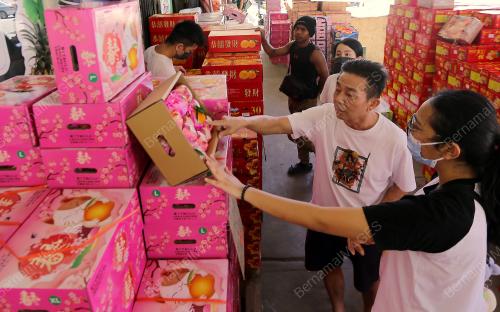 TINJAUAN SEMPENA TAHUN BARU CINA AKAN DATANG