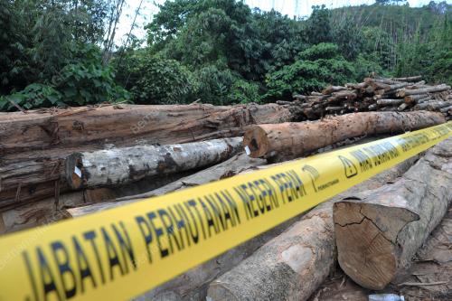 PK10_02022012_HUTAN_BALAK