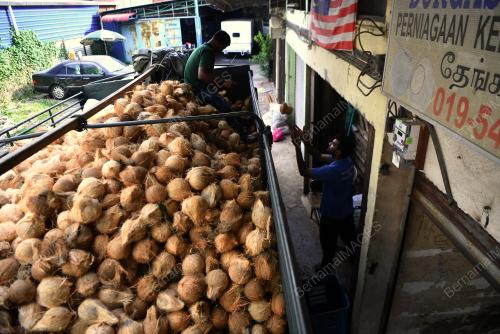 TINJAUAN KELAPA SEMPENA THAIPUSAM