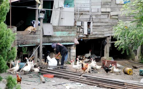 PK10_08112015_MAKANAN