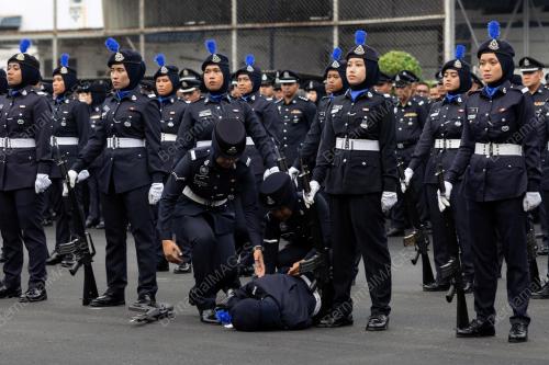 POLIS
