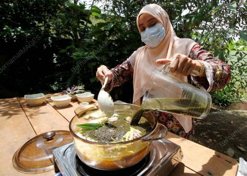 NASI LEMUNI