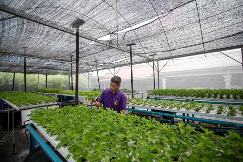 PERSATUAN UNTUK INSAN BERMASALAH INTELEK PERAK