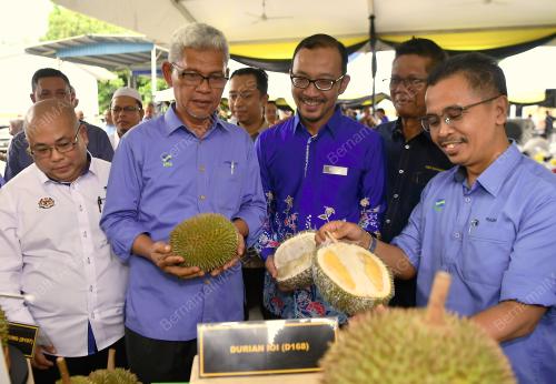 PENGERUSI FAMA AMINUDDIN ZULKIPLI