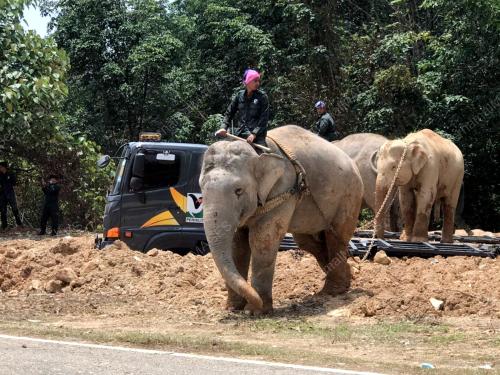 OPERASI PINDAH GAJAH DI GRIK
