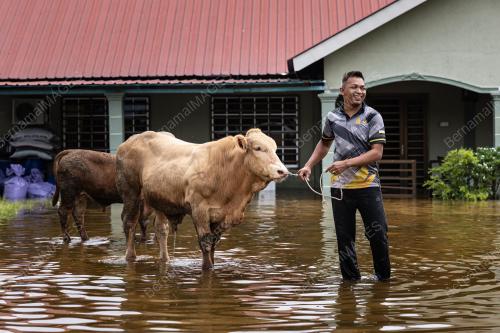 TINJAUAN BANJIR