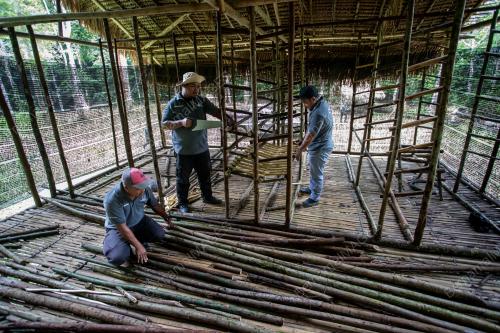 LAWATAN TAPAK KE PROJEK PEMULIHAN LIAR CENDAWAN SUSU RIMAU