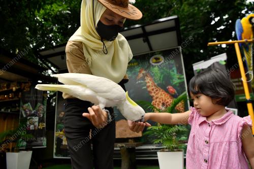 TINJAUAN ZOO TAIPING SEMPENA CUTI SEKOLAH