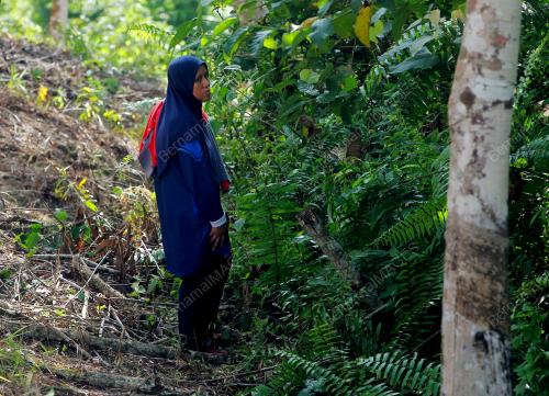 MISI MENCARI DAN MENYELAMAT REMAJA HILANG