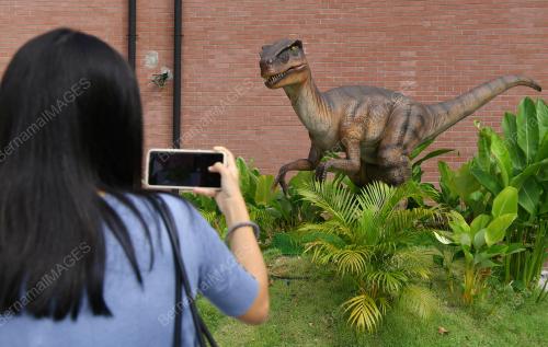 DINOSAUR ENCOUNTER WORLD