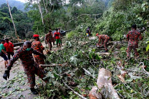 KEJADIAN T POKOK TUMBANG