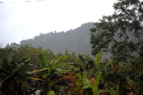PK10_24122015_LIMA_HILANG