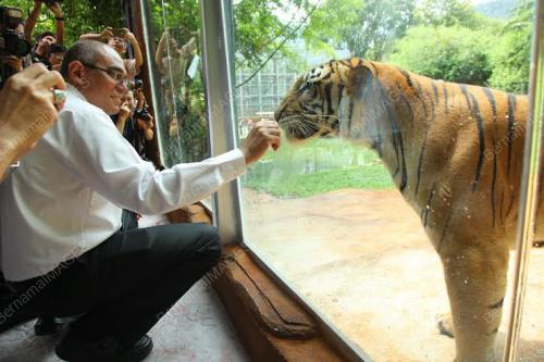 PK10_26072016_ZOO_TAIPING