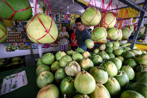 TINJAUAN HARI CUTI DI LIMAU BALI