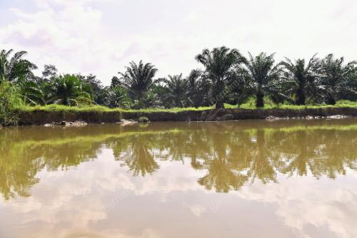 SUNGAI KINTA KAWASAN PASIR SALAK