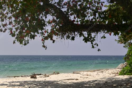 HARI KONSERVASI PULAU SEMBILAN