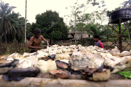 MASYARAKAT ASLI SUNGAI MERAH JUAL GETAH SEKERAP